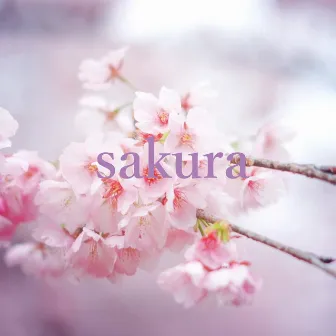 sakura by SAKURA