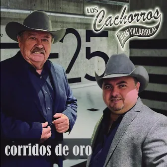 Corridos de Oro by Los Cachorros de Juan Villarreal