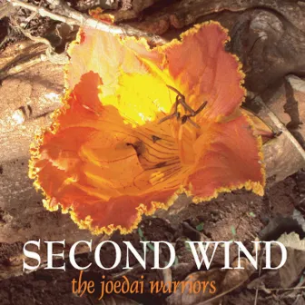 Second Wind by The Joedai Warriors