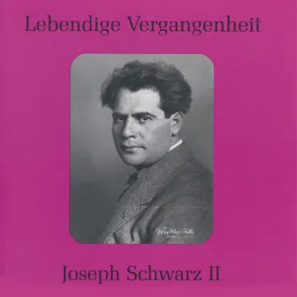 Lebendige Vergangenheit - Joseph Schwarz (Vol.2) by Joseph Schwarz