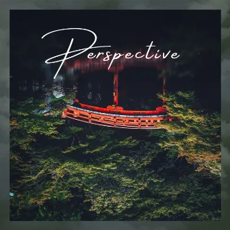 Perspective by Signature D