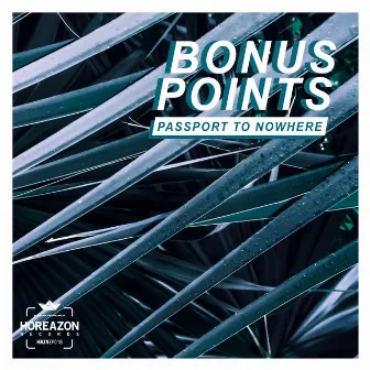 Passport to Nowhere by Bonus Points