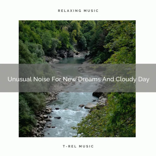 Unusual Noise For New Dreams And Cloudy Day