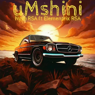 uMshini by Nyce RSA