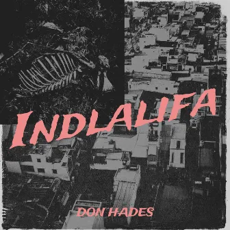 Indlalifa by Don Hades