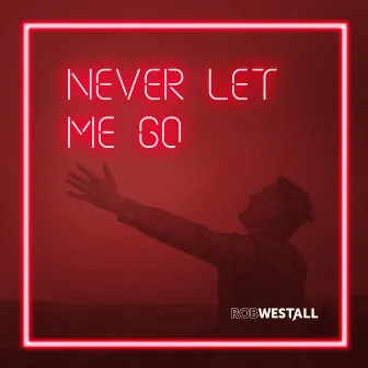 Never Let Me Go by Rob Westall