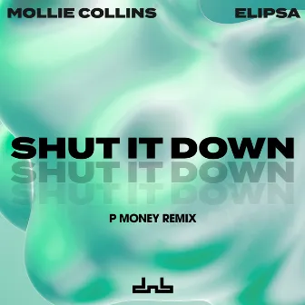 Shut It Down (P Money Remix) by P Money