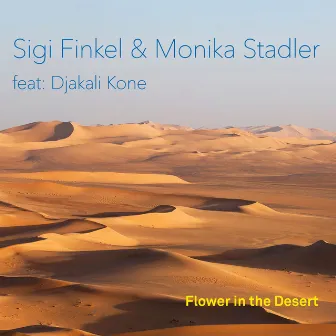 Flower in the Desert by Sigi Finkel