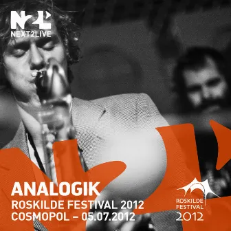 Roskilde Festival 2012 by Analogik