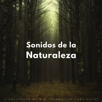 Sonidos De La Naturaleza: Vibraciones De Río Tranquilas Para Gatos by Sonidos del río