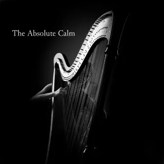 The Absolute Calm by Aarif Jaman