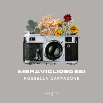 Meraviglioso Sei by Rossella Cappadone