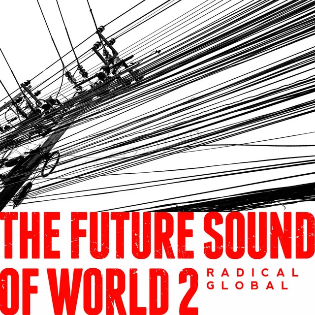 The Future Sound of World 2 - Radical Global