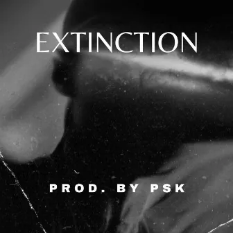 Extinction (Instru Rap) by PSK