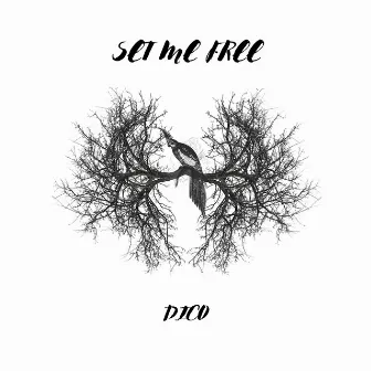 Set Me Free by Dico