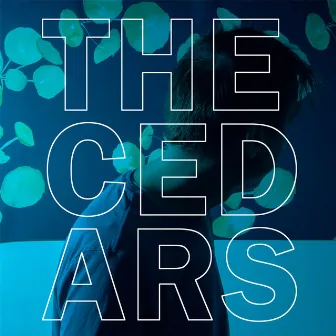 The Cedars by John Vanderslice