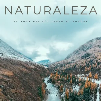 Naturaleza: El Agua Del Río Junto Al Bosque by Ruidos de la Selva