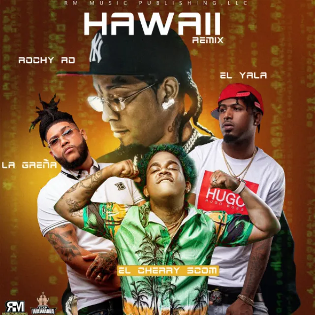 Hawaii (Remix)