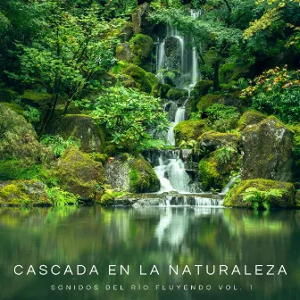 Cascada En La Naturaleza: Sonidos Del Río Fluyendo Vol. 1 by Musica para Acostarse