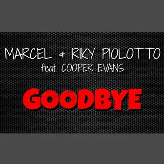 Goodbye by Riky Piolotto