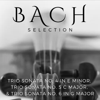 Bach Selection: Trio Sonata No. 4 In E Minor, Trio Sonata No. 5 C Major, & Trio Sonata No. 6 In G Major by Bernardo Kuznetsov