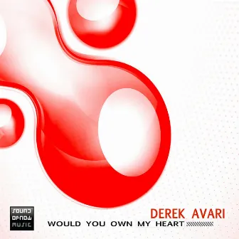 Would You Own My Heart by Derek Avari