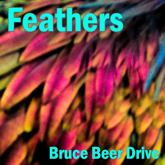 Feathers (Upbeat Synthwave with Bruce Beer Drive)