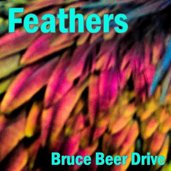 Feathers (Upbeat Synthwave with Bruce Beer Drive) by Jason Prine