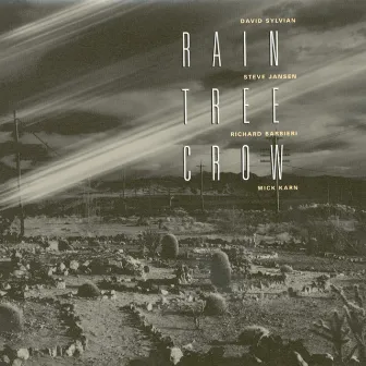 Rain Tree Crow by Rain Tree Crow