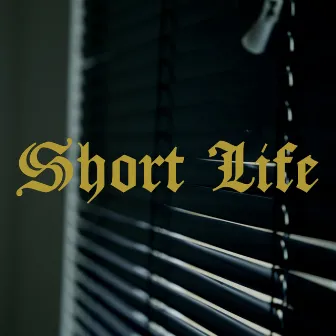 Short Life by Romez