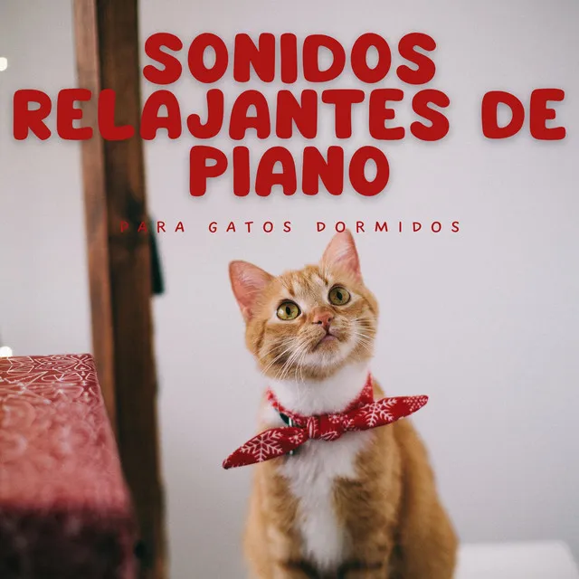 Sonidos Relajantes De Piano Para Gatos Dormidos