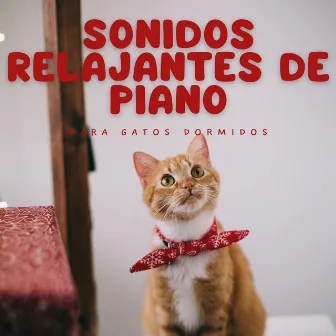 Sonidos Relajantes De Piano Para Gatos Dormidos by Música de gatos