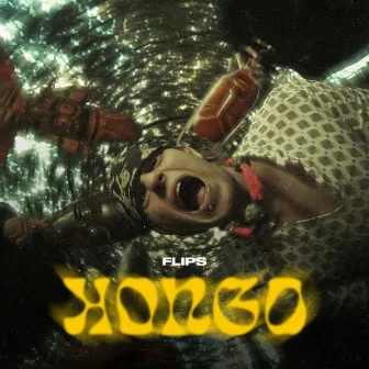 Kongo by DJ Flip