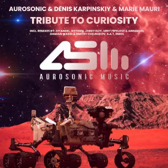 Tribute to Curiosity by Abramasi