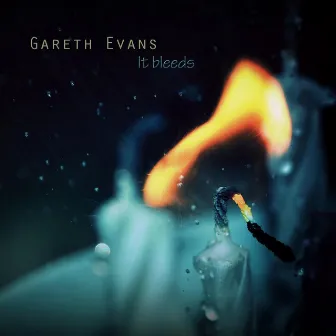 It Bleeds by Gareth Evans