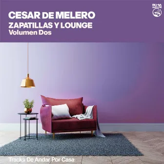 Zapatillas y Lounge - Volumen Dos (tracks de andar por casa) by Cesar De Melero