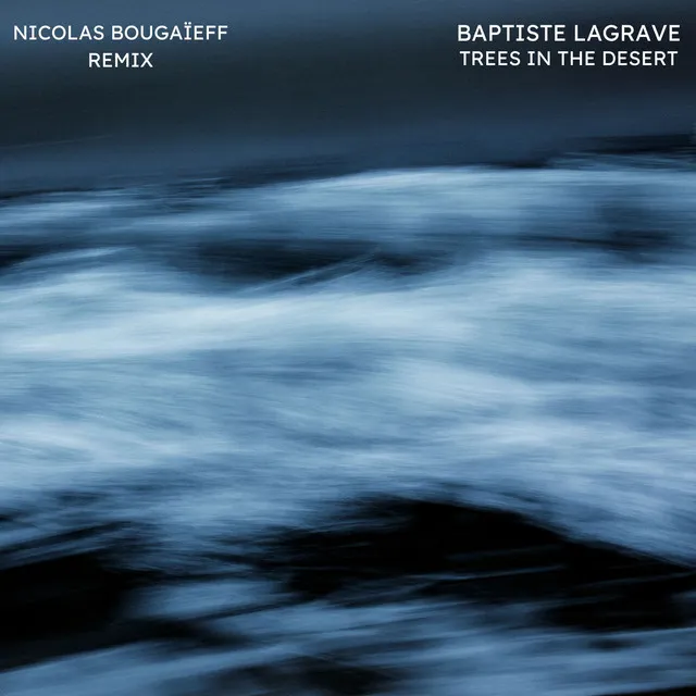 Trees In The Desert (Nicolas Bougaïeff Remix)