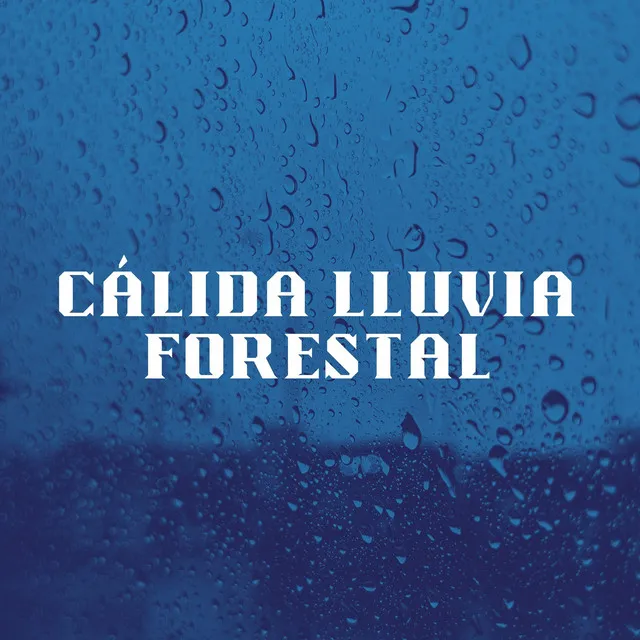 Cálida Lluvia Forestal