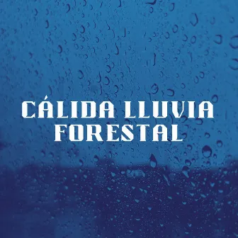 Cálida Lluvia Forestal by Descansa