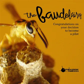 Congratulations on Your Decision to Become a Pilot - Single by THE BAUDELAIRES