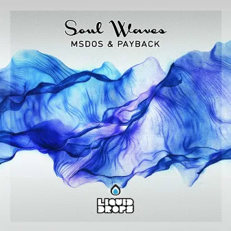 Soul Waves Lp by Payback