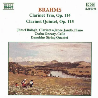 Brahms: Clarinet Trio, Op. 114 / Clarinet Quintet, Op. 115 by Danubius Quartet