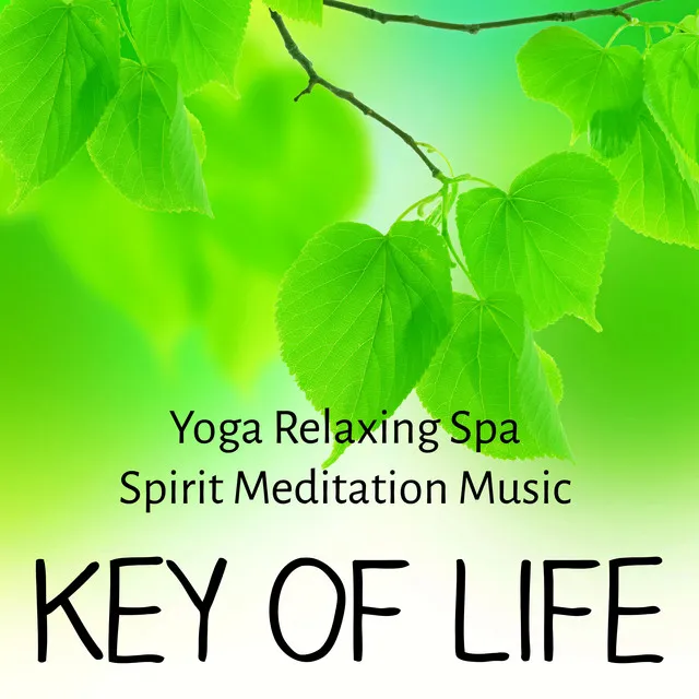 Key of Life - Yoga Relaxing Spa Spirit Meditation Music for Mind Exercises Chakra Healing Natural Treatment