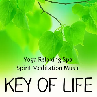 Key of Life - Yoga Relaxing Spa Spirit Meditation Music for Mind Exercises Chakra Healing Natural Treatment by The Spirit of Yoga