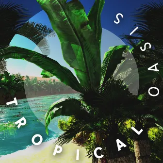 Tropical Oasis: Chillout Music for a Laid-back Summer by Champagne at Midnight