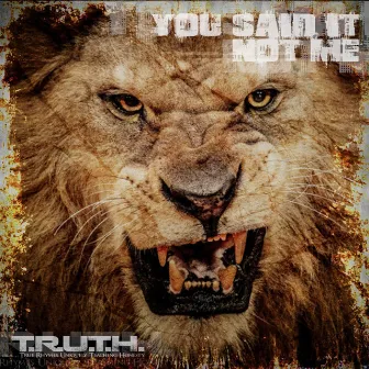 You Said It Not Me by T.R.U.T.H.