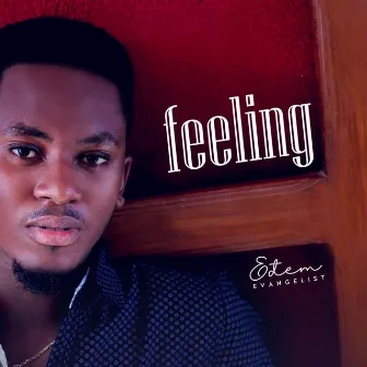 Feeling by Edem Evangelist