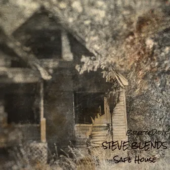 Safe House by Steve Blends