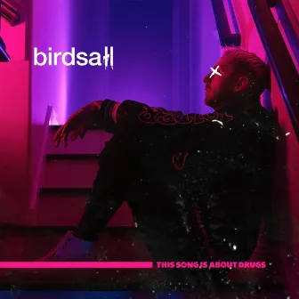 This Song Is About Drugs by Birdsall