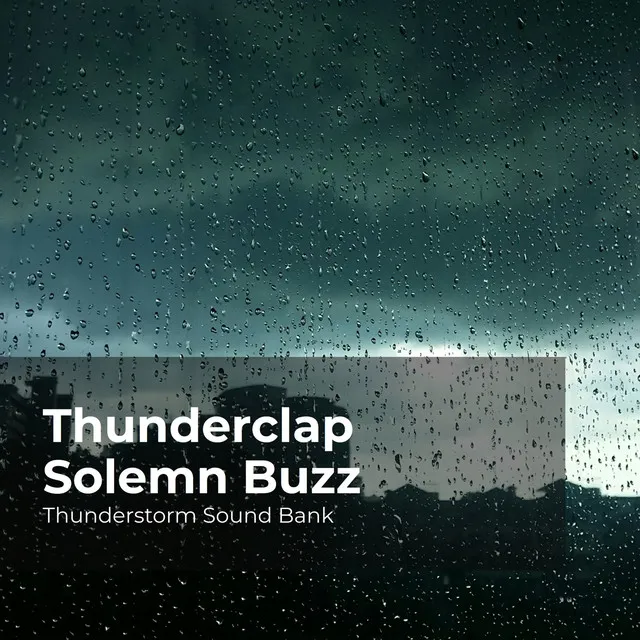 Thunderclap Solemn Buzz